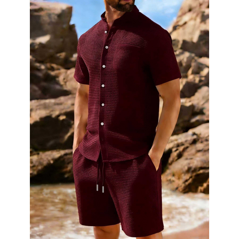 Short-sleeve Jacquard-buttoned Lapel Solid-color Sporty Casual Outfit Set — photo 6